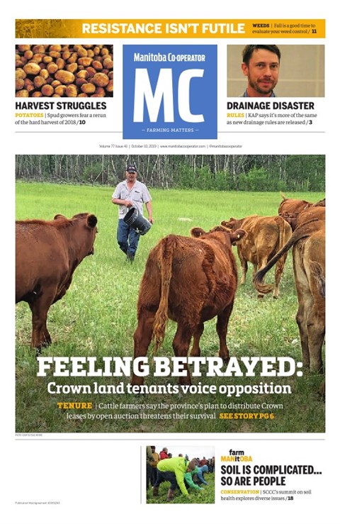 Read Digital Edition