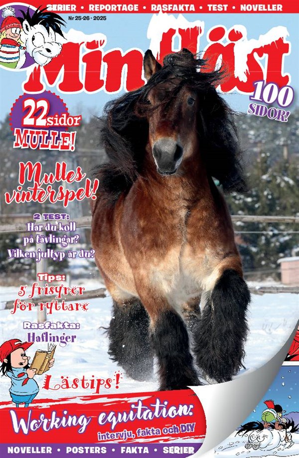 Nr 25/26 2025 - Diary & pen