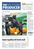 The Western Producer &ndash; October 31, 2019 Sample