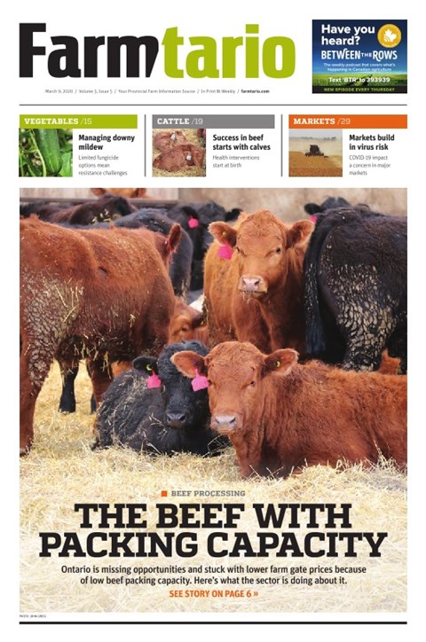 Digital Edition
