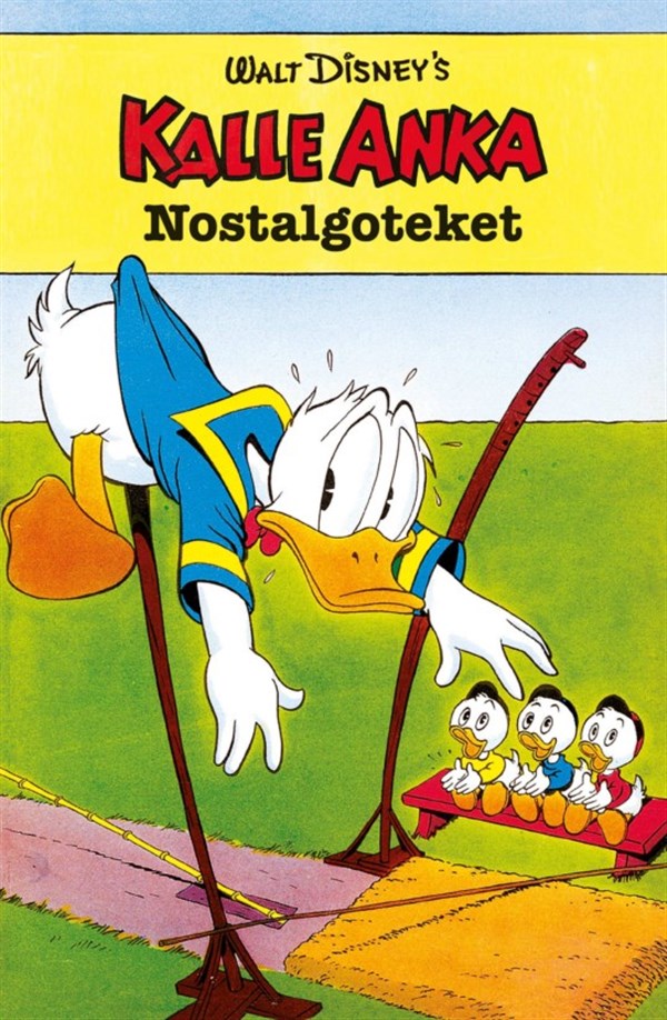 Nr 17 2026