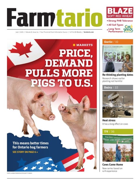 Digital Edition