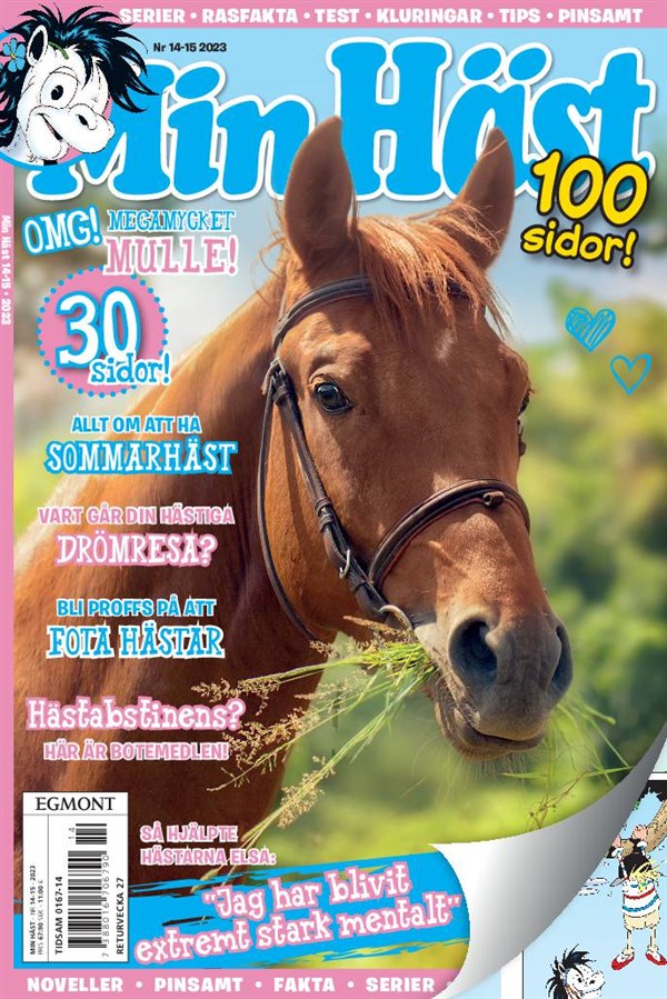 Nr 14/15 2023 - Strandväska