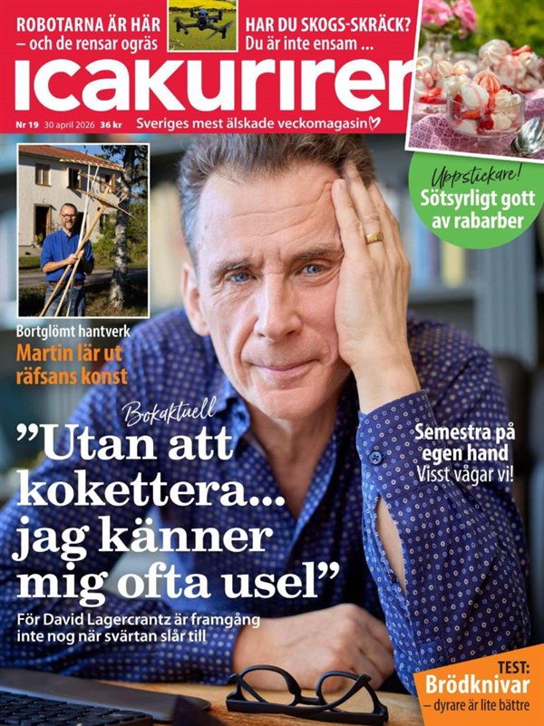 Nr 19 2026