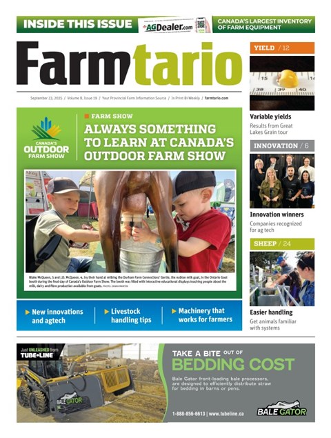 Digital Edition