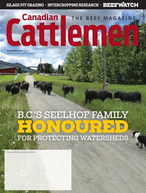 Read Digital Edition