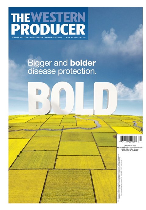 Read Digital Edition