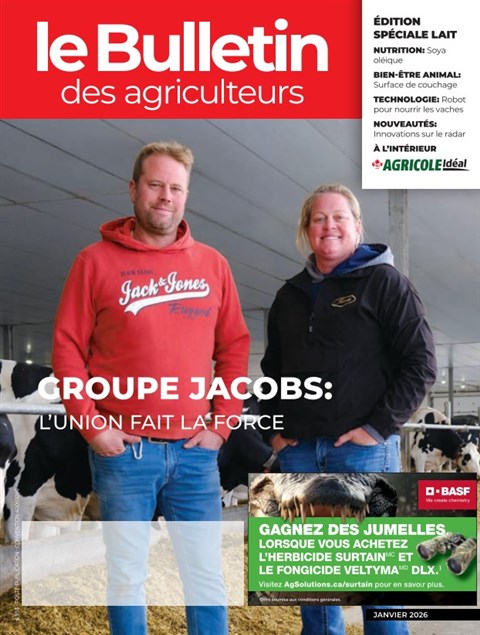 Éditions numériques