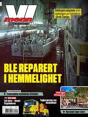 Vi Menn