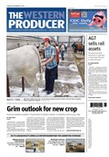 The Western Producer &ndash; November 28, 2024 Sample