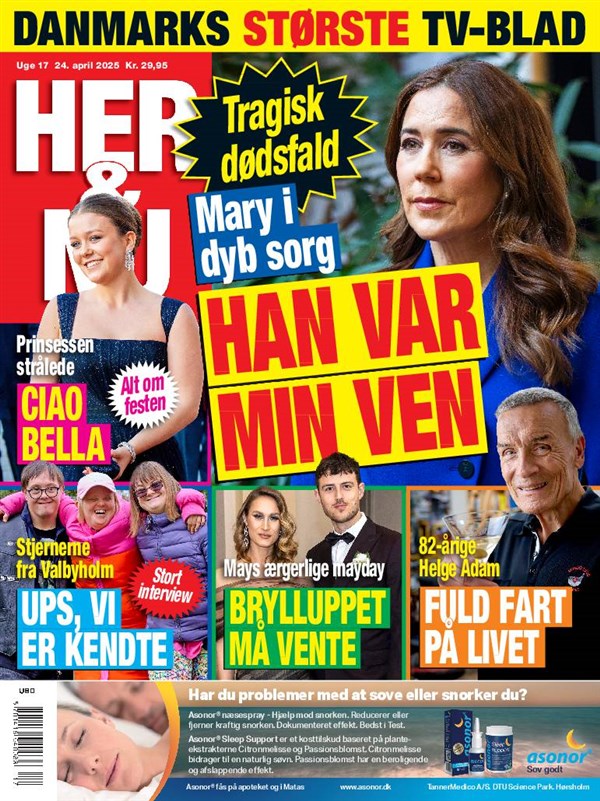 Nr. 17 2025