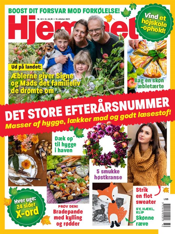 Nr. 42 2025