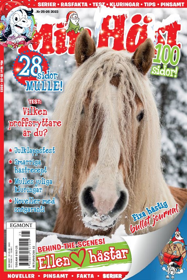 Nr 25/26 2023 - DIY armband