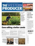The Western Producer &ndash; August 14, 2025 Sample