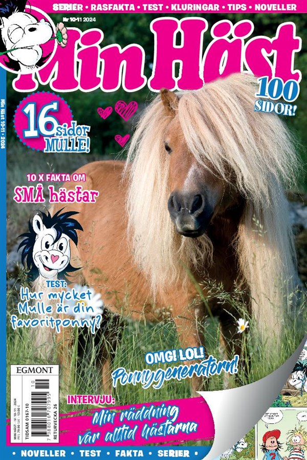 Nr 10/11 2024 - Notebook